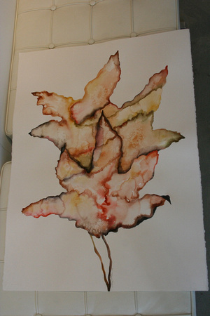 Oak Leaves, 22.5" x 30" watercolor on paper