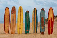 Mogul Surfboards in Sand