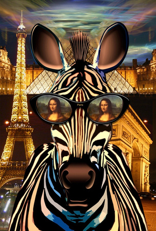 Zebra Paris 3