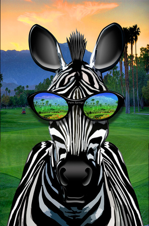 Zebra Palm Springs NEW COMP2