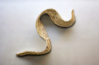 wood swirl