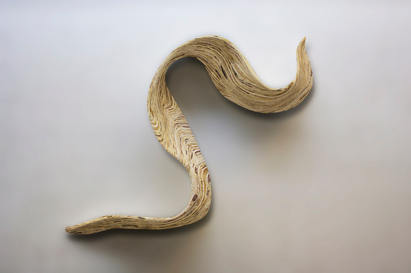 wood swirl