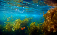 Underwater sunset 2