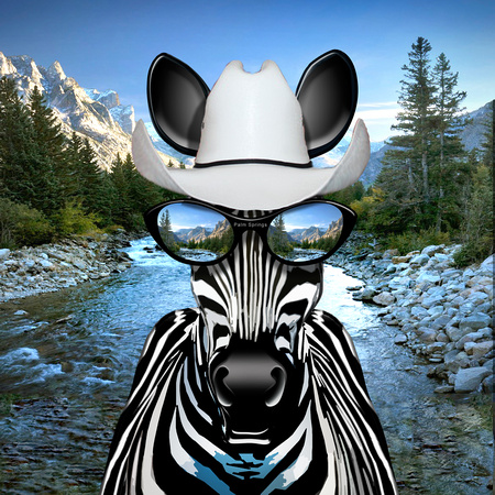 Zebra Montana Zebraboy stet 6