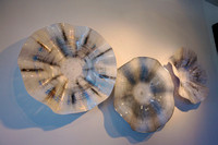 Sea Urchin plex